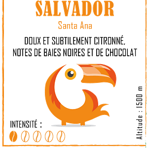 idees-et-saveurs-cafe-salvador-grains-moulu-brulerie-des-recollets
