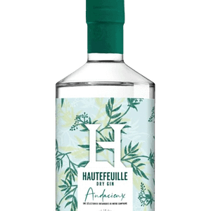 gin-l-audacieux-de-la-distillerie-d-hautefeuille-removebg-preview