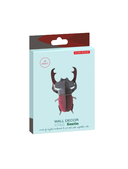 Kit diy stag beetle (coléoptère) - Studio roof