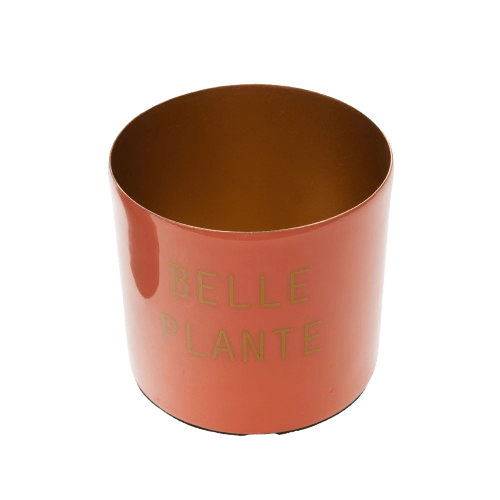 Cache pot nature - 3 assortiments – Image 3