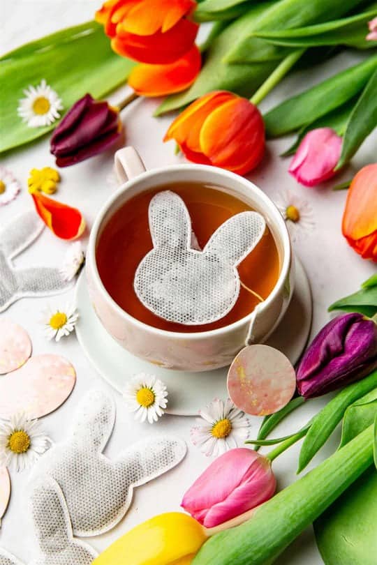5 Sachets de thé bio forme lapin - rooibos coco amande - tea heritage