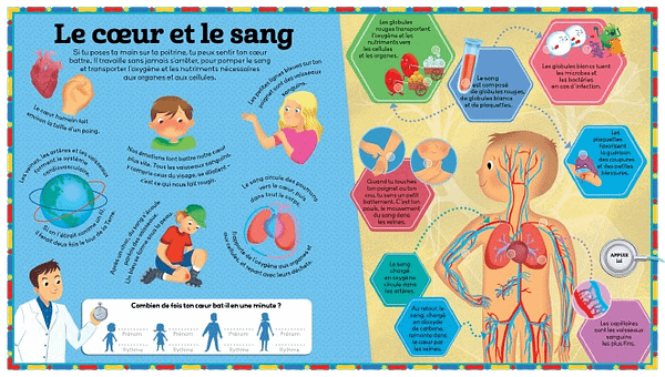 Mon livre sonore - Le corps humain - 1,2,3 soleil – Image 4