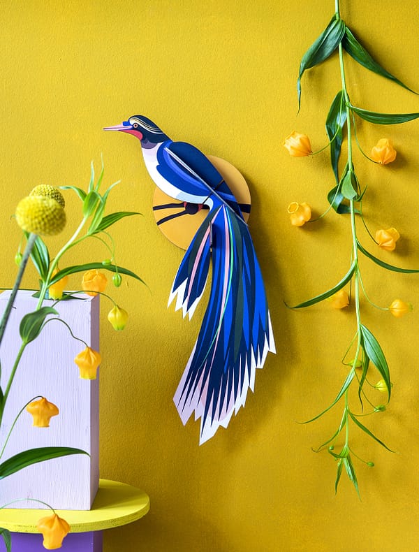 Kit oiseau bleu - Studio roof – Image 2