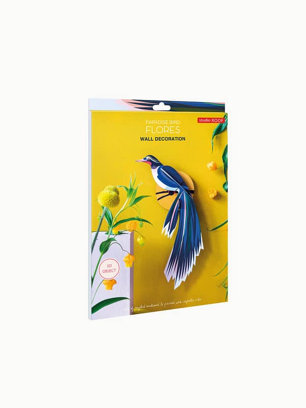 Kit oiseau bleu - Studio roof – Image 4